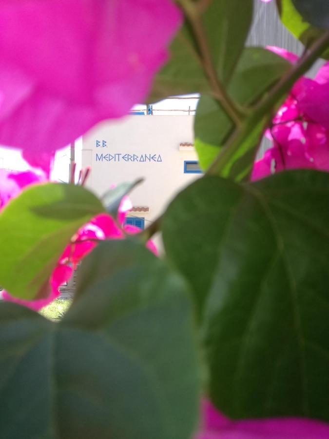 Mediterranea Guesthouse B&B Portopalo Di Capo Passero ภายนอก รูปภาพ